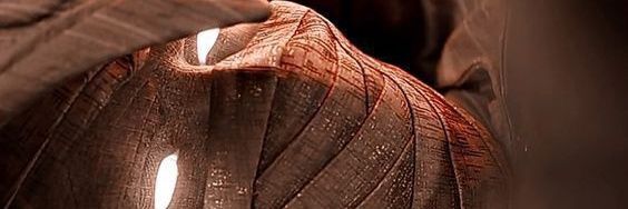 ThePrimedic's profile banner image