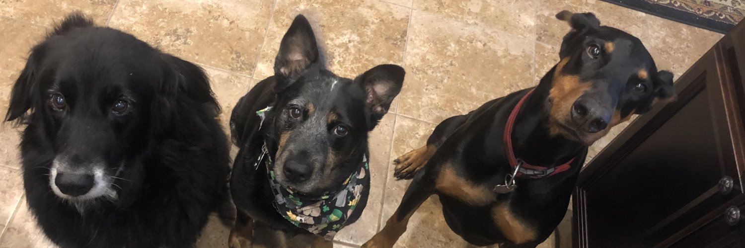 Missynickmatos's profile banner image