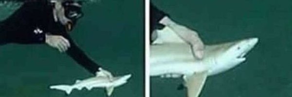 ____Jian____ Profile Banner