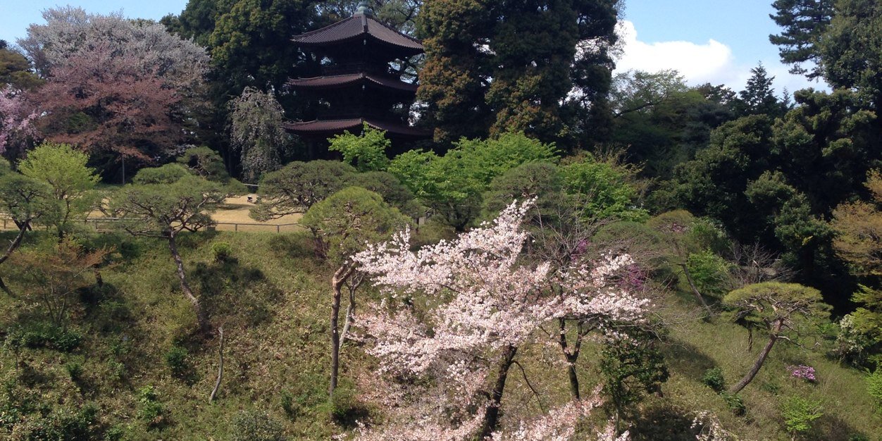 aki89_s's profile banner image