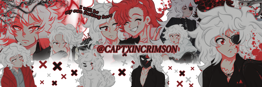 ᅠ.𖥔 ݁ ˖ Ða̲ƙσ†α ₊˚⋆ ☠︎︎'s banner