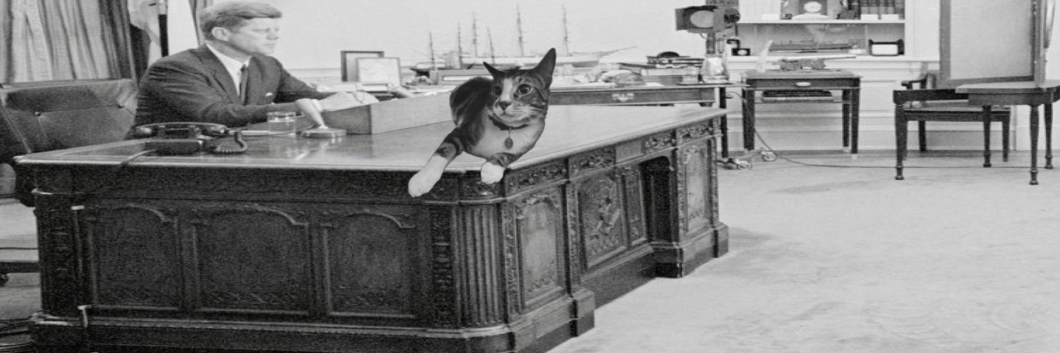 QKitty1776's banner
