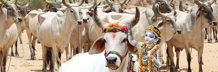 gauravub's profile banner image