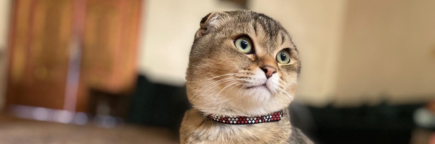 i___81's profile banner image