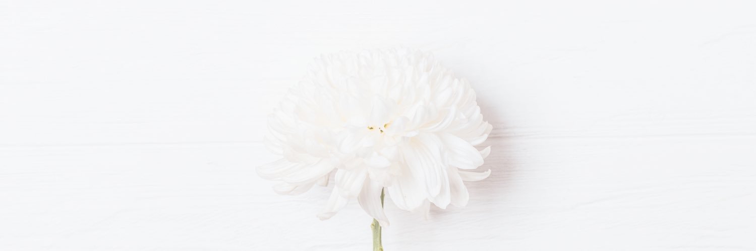 Maria_career's profile banner image