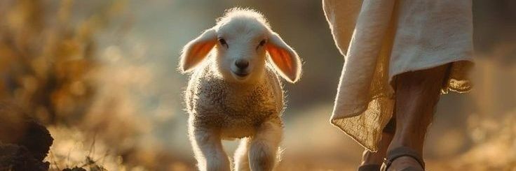 Frases y versos de La Bíblia. banner