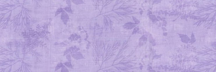 el_was_heree's profile banner image