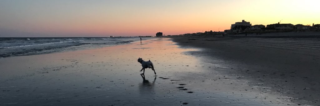 JJFree's profile banner image