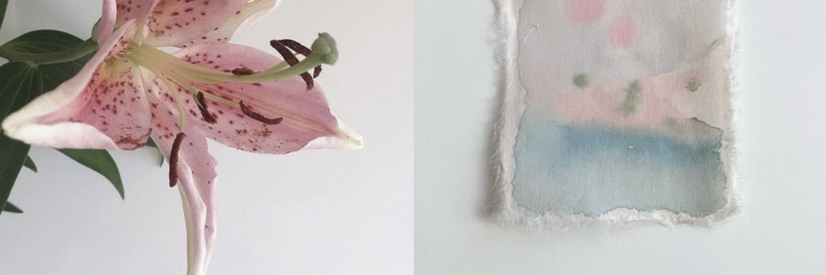 koko˚⊹ ⑅ banner