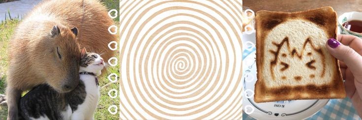 ૮꒰𐇵◜·◝꒱ა banner