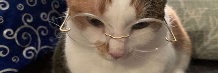 BkankPerson44's profile banner image
