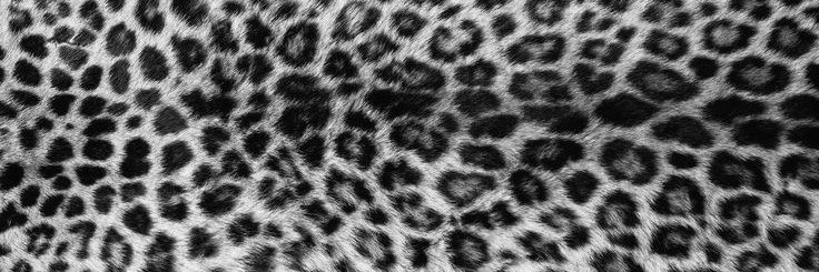 vini ॐ banner