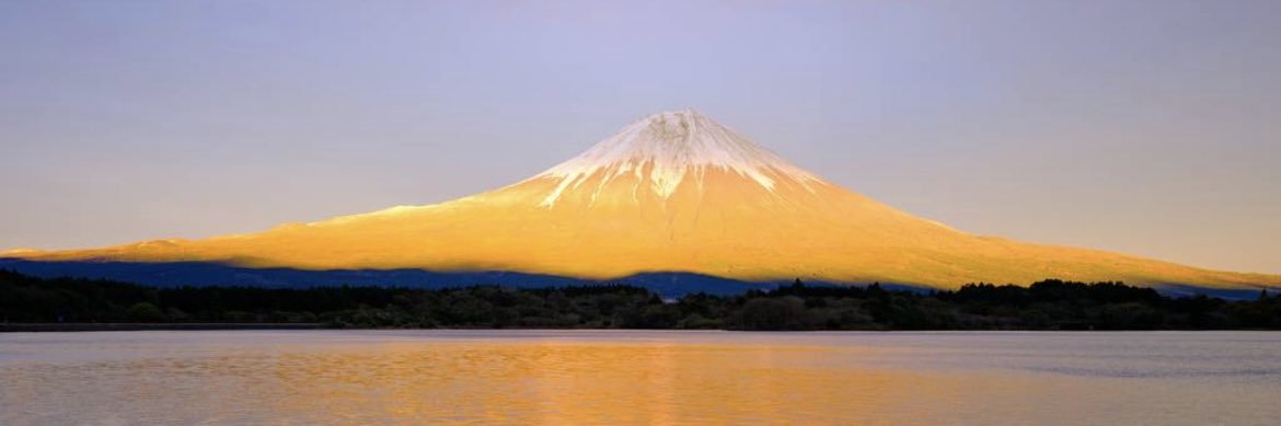 team Governor【公式】 banner