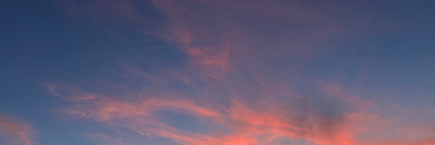 REINBOUKAOSU's profile banner image