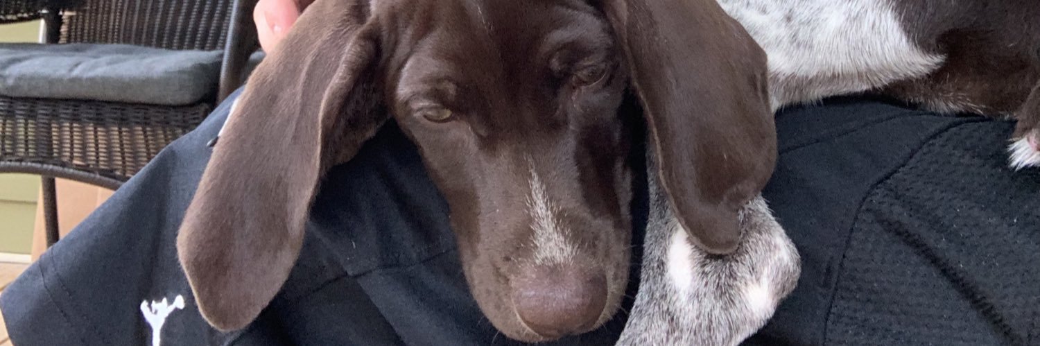 JayemStew's profile banner image
