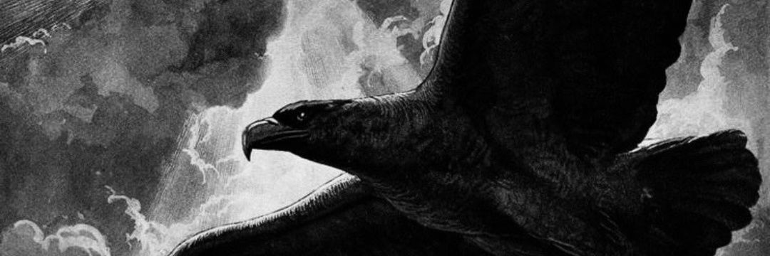 NWO 𝕴𝖒𝖕𝖊𝖗𝖆𝖙𝖔𝖗 banner