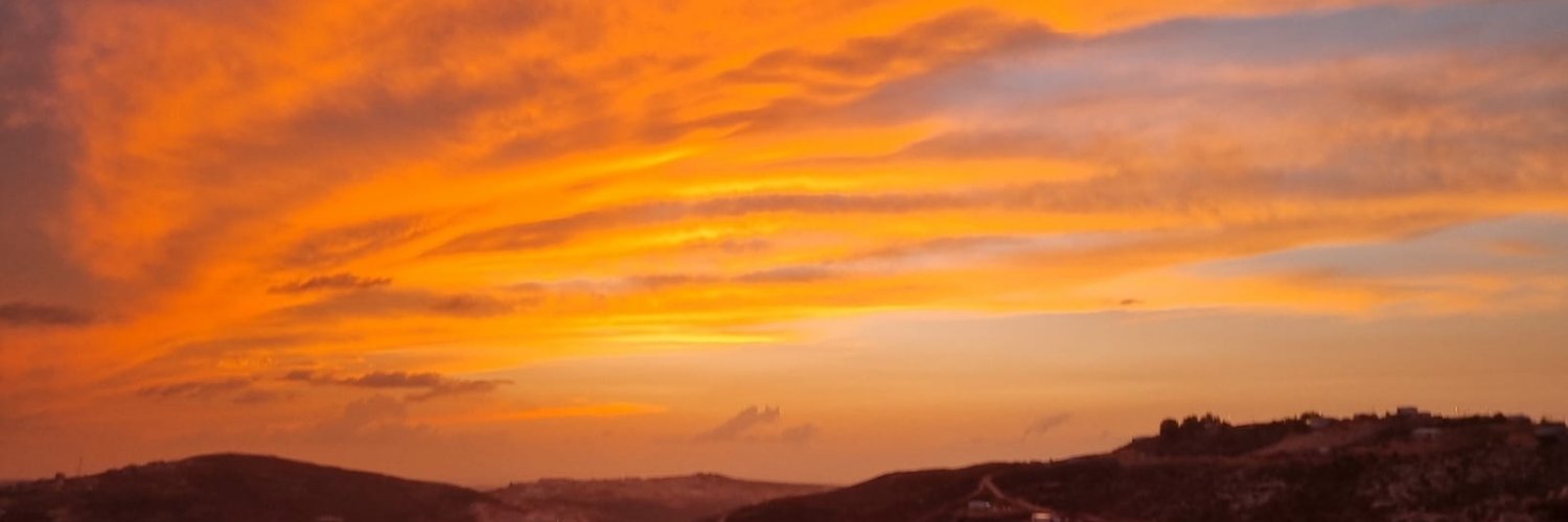אלחנן גרונר's banner