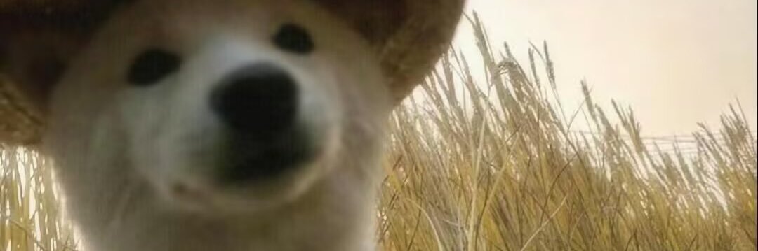 電気自転車 banner