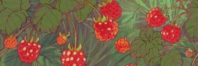 likelester's profile banner image