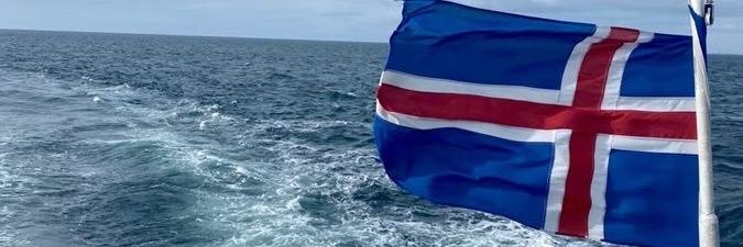 Fishsticks / Iceland 🎣 banner