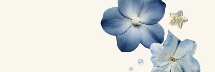 moonlighttayy's profile banner image