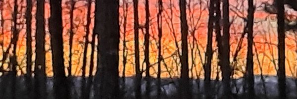 KeoweeSCgal Profile Banner