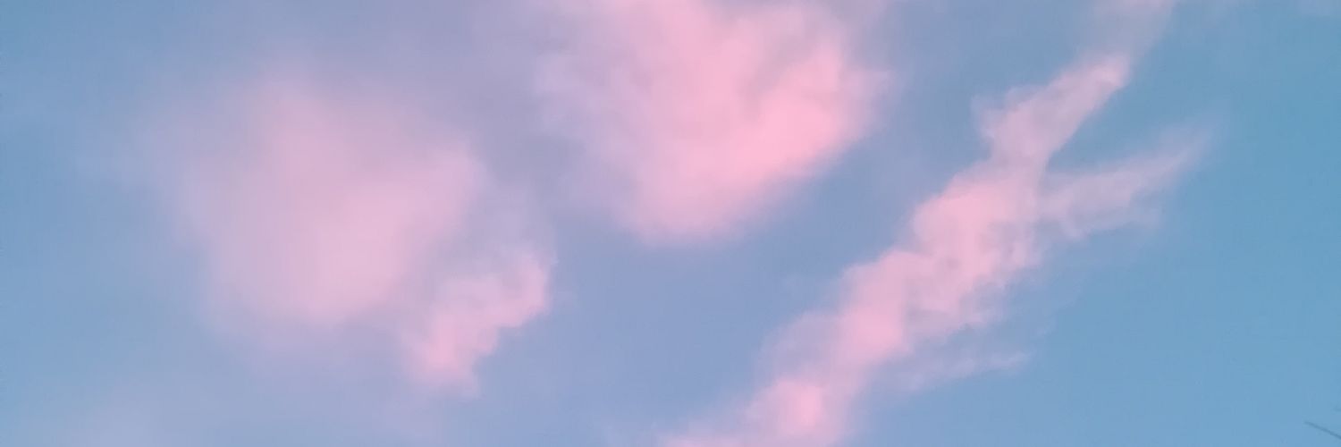 sheylaz99's profile banner image