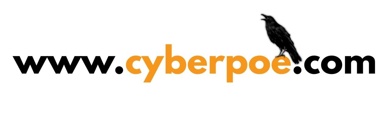cyberpoe_'s profile banner image