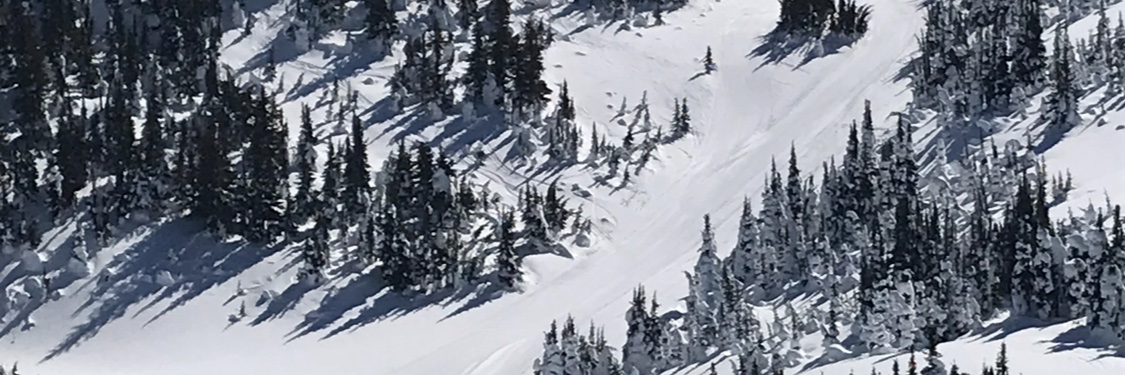Peter Petsel banner