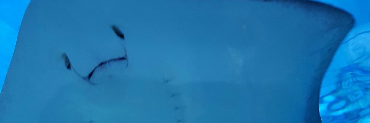 애츄 banner