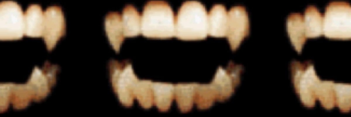luca !! 𖦹 seldom known banner
