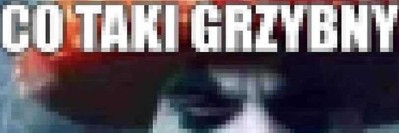 Alex, muzyczny MANUL| SLM ERA| banner