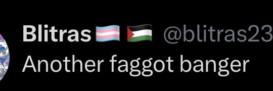 Britras🇵🇸🏳️‍⚧️ banner