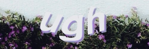 M E A D O W ᥫ᭡ banner