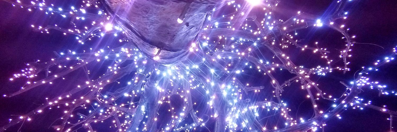 antoniusdito's profile banner image