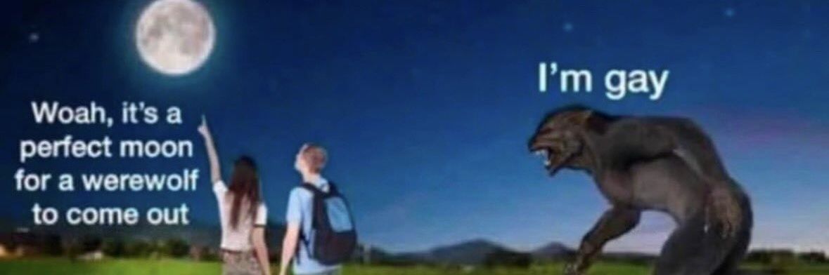» 🦔 : Lele ?? banner