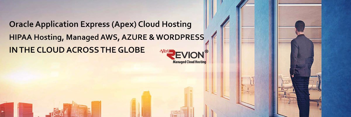 Revion Solutions Inc banner
