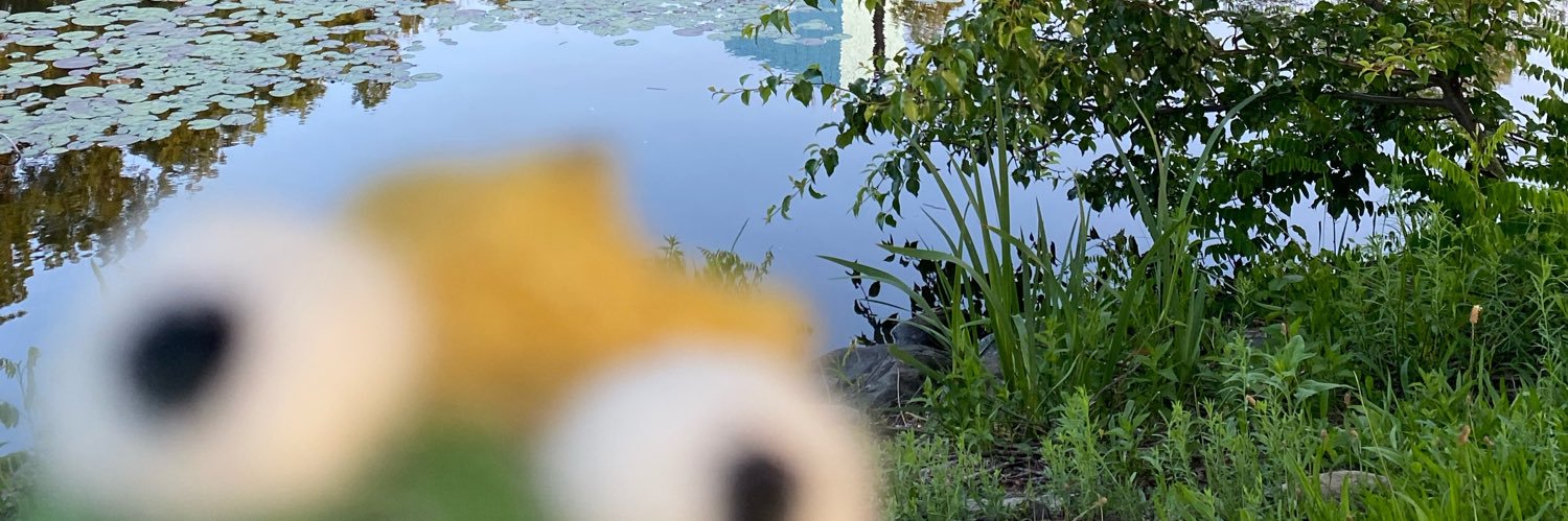 frogopher's profile banner image