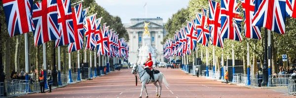 The British Patriot's banner