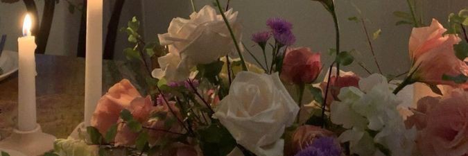 ANISHA CH ᯓᡣ𐭩 banner