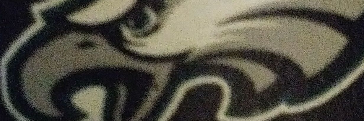 Eodonnell21's profile banner image