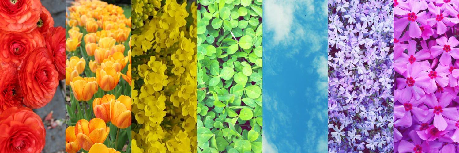 Heather 'other duties as required' Shugarman banner