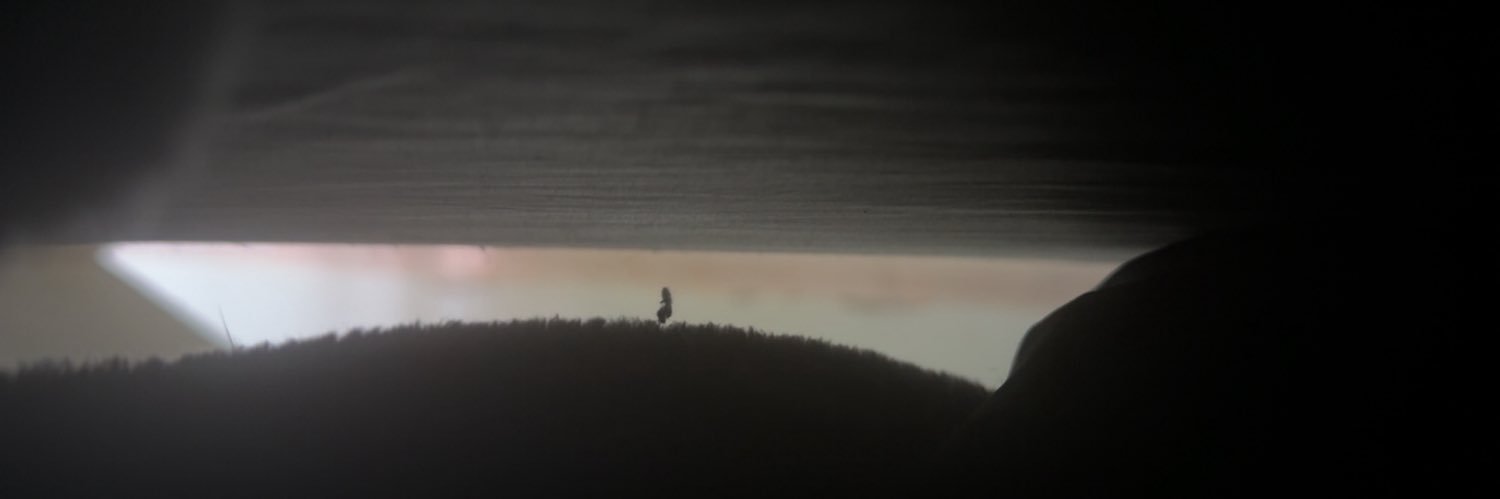 عبدالاله بدون ميم banner