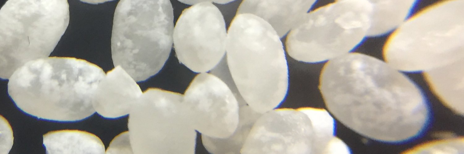 Timothy Sullivan banner