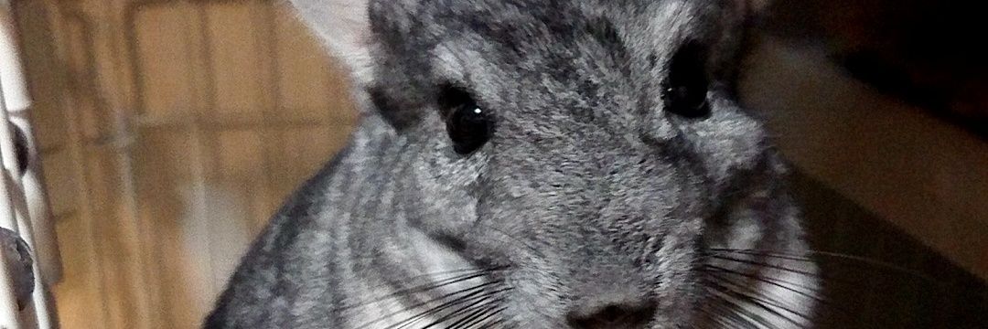 mirin_mr's profile banner image