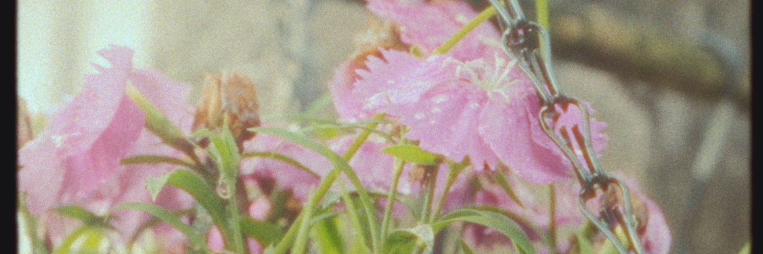 Leo banner