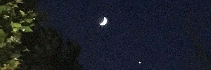 a_noobrain's profile banner image