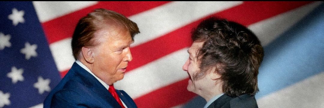 gringoliberal's profile banner image