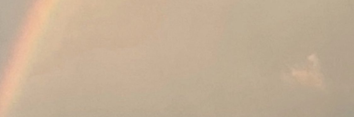 𝐘𝐞𝐨𝐃𝐞𝐨𝐥𝟖 ˚. banner