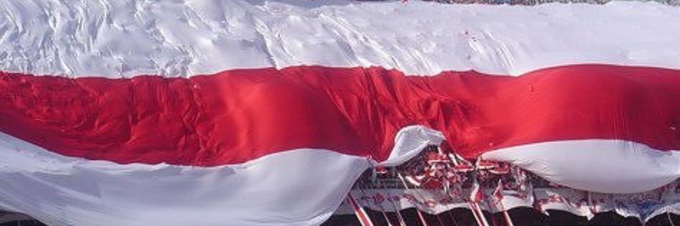 silvinitaj's profile banner image